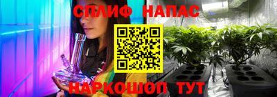 прущие крисы Можга