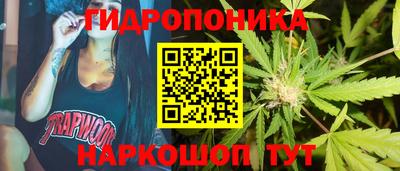 прущие крисы Можга