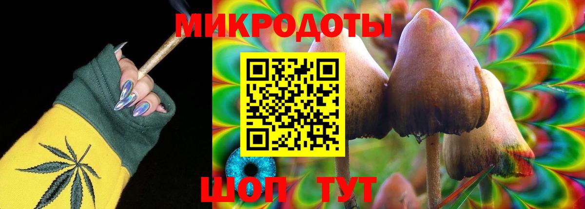 Псилоцибиновые грибы Psilocybine cubensis  Вход с VPN  Кондопога 